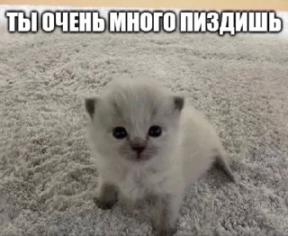 Sticker from ьбьб