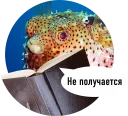 🐟 emoji Рыбы пытаются читать Telegram sticker 9 of 15