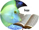 🐟 emoji Рыбы пытаются читать Telegram sticker 6 of 15