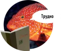 🐟 emoji Рыбы пытаются читать Telegram sticker 7 of 15
