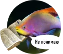 Sticker from Рыбы пытаются читать