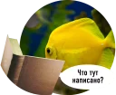 Sticker from Рыбы пытаются читать