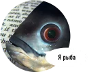 🐟 emoji Рыбы пытаются читать Telegram sticker 15 of 15