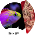 🐟 emoji Рыбы пытаются читать Telegram sticker 14 of 15