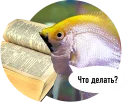 🐟 emoji Рыбы пытаются читать Telegram sticker 10 of 15