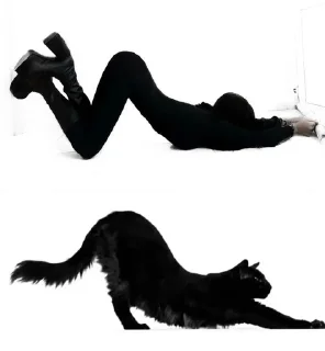 киса @fStikBot sticker 1