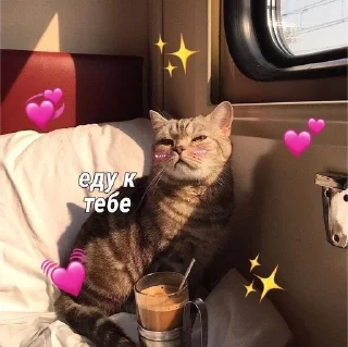 ♡ sticker 3