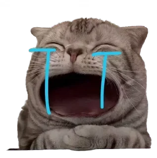 крутые коты • @STIKmew sticker 1