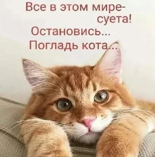 🌟 emoji хихихаха с: Telegram sticker 1 of 93