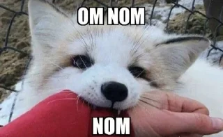 🌟 emoji хихихаха с: Telegram sticker 21 of 93