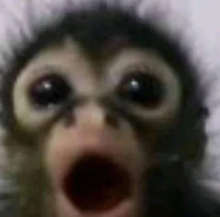 😱 emoji какашки😘❤️ Telegram sticker 6 of 31