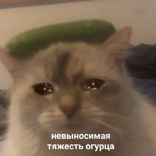 🥒 emoji depression Telegram sticker 24 of 75