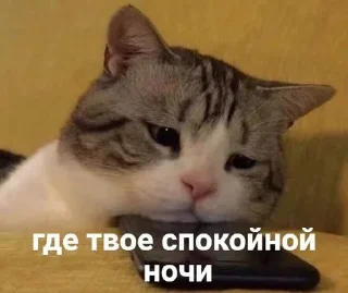 😿 emoji depression Telegram sticker 5 of 108