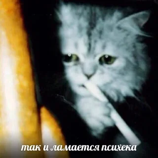 Sticker from depression