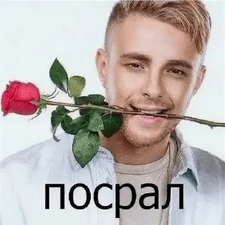 🦦 emoji помогите Telegram sticker 24 of 49