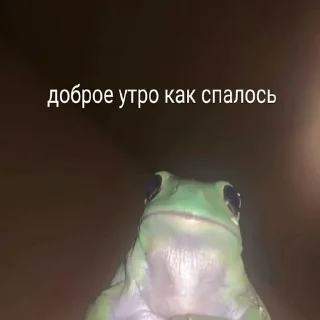 😊 emoji помогите Telegram sticker 7 of 49