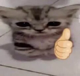 🌟 emoji obebo Telegram sticker 14 of 89