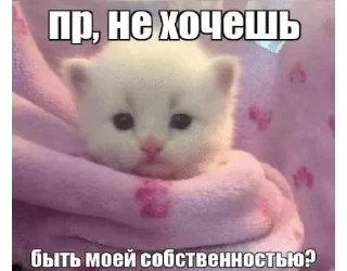 🌟 emoji Котейки от @Nyachemneto Telegram sticker 15 of 62