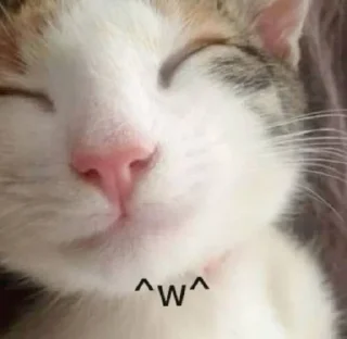 🌟 emoji obebo Telegram sticker 9 of 89