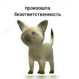 🌟 emoji Котейки от @Nyachemneto Telegram sticker 22 of 62