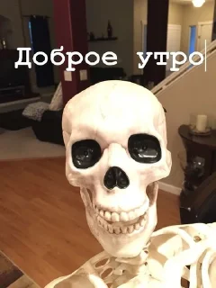 Sticker from Скелет из Шкафа