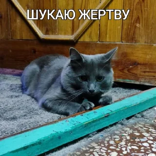 Sticker from Гуртожиток 5️⃣🏠