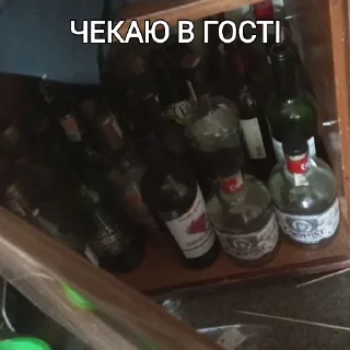 Sticker from Гуртожиток 5️⃣🏠