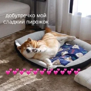 🥐 emoji PerksPoxRules3 Telegram sticker 7 of 69