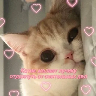 🫶 emoji PerksPoxRules3 Telegram sticker 5 of 69