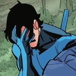 🤦 emoji Nightwing be Evloevvv Telegram sticker 6 of 15