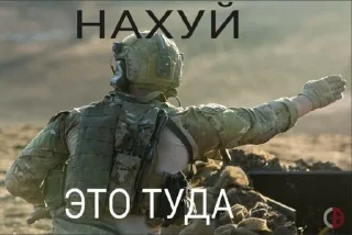 🌟 emoji Милитари-хуилитари Telegram sticker 6 of 15