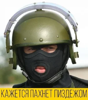 🌟 emoji Милитари-хуилитари Telegram sticker 14 of 15