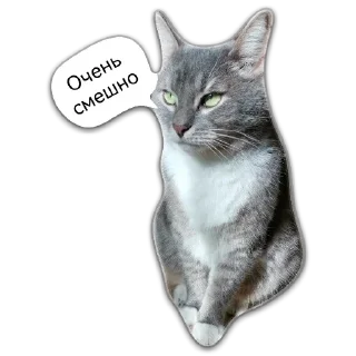 Sticker from Кот Чизкейк