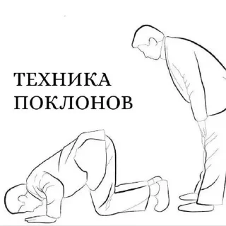Sticker from мемновые коти 3