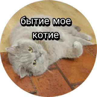 Sticker from Лола [@stickB00K]
