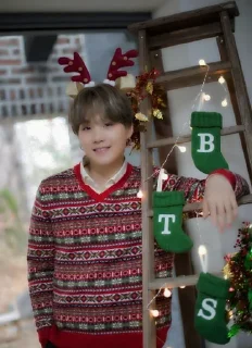 Sticker from Suga🎄Christmas🌸