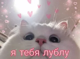 Sticker from лю <з