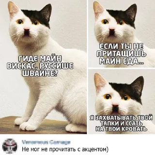 🧐 emoji История Telegram sticker 21 of 44