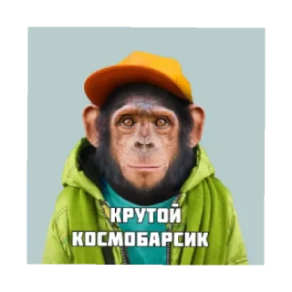 Sticker from Космобарсик монке