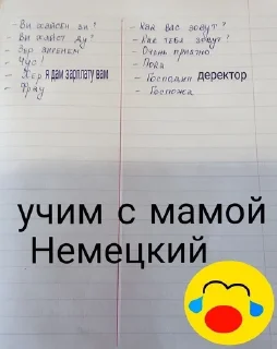 🥹 emoji История Telegram sticker 20 of 44