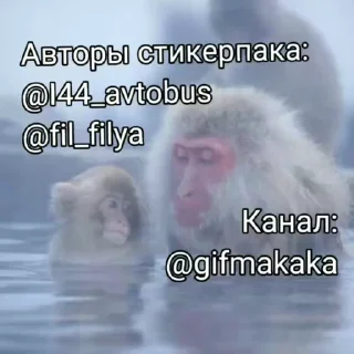 Sticker from Жмихнути монке 2.0 :: @stikery_robot