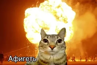 😐 emoji Эй! Стоп пипол!✋⛔ Telegram sticker 10 of 17