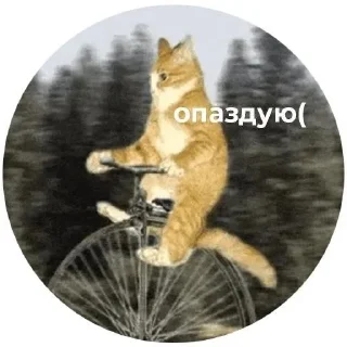 😐 emoji От Женечки прилетело 🖤 Telegram sticker 20 of 120