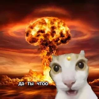 🌟 emoji Эй! Стоп пипол!✋⛔ Telegram sticker 17 of 17
