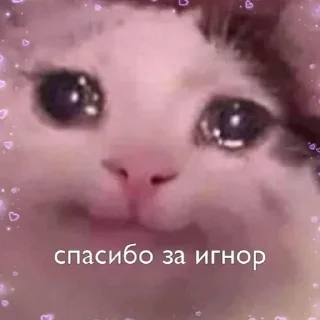 🥲 emoji От Женечки прилетело 🖤 Telegram sticker 19 of 120
