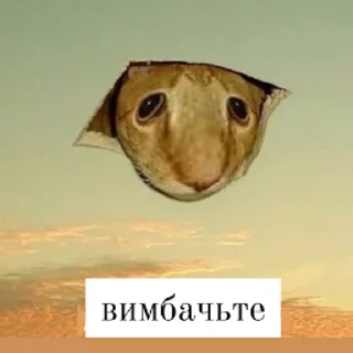 😇 emoji москалик у пакетику Telegram sticker 22 of 50