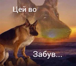 😟 emoji москалик у пакетику Telegram sticker 12 of 50