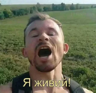 😀 emoji москалик у пакетику Telegram sticker 11 of 50