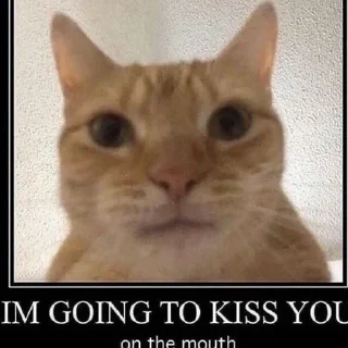 ❤️ emoji москалик у пакетику Telegram sticker 18 of 50