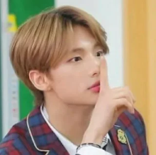 Sticker from Stray Kids